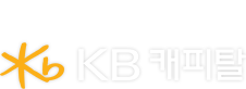 로고 KB캐피탈